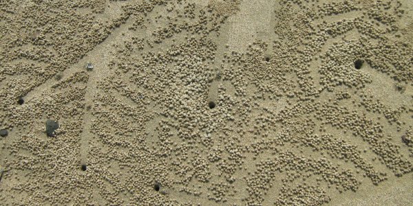 And the best designer on the beach award goes to...