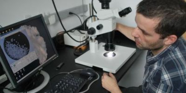 Thank Ancient Ocean Currents We're Not In An Ice Age Right Now.