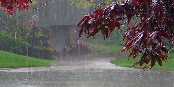 The Weather May be Frightful, But You Don't Have to be SAD this Winter