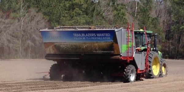 Miscanthus Grass For Biomass An Economic Alternative For Unusable Land