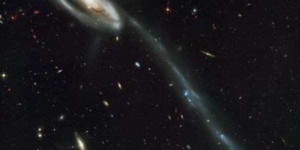 Tidal Model Instead? Map Of Universe Shows Dwarf Galaxies Don't Fit Standard Cosmological Model