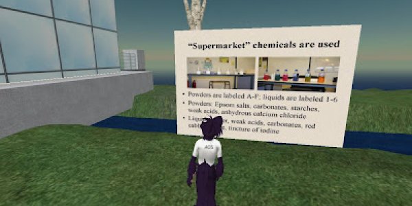 Virtual Chemistry Poster Session on ACS Island