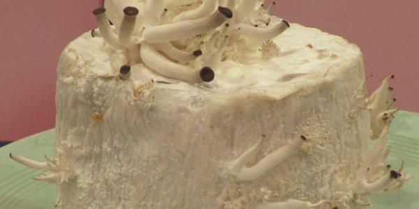 Gâteau extraordinaire?