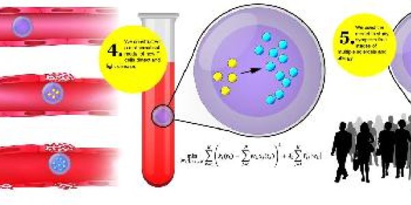 Analyzing T-cells Helps With Diagnosis Before Disease Breaks Out