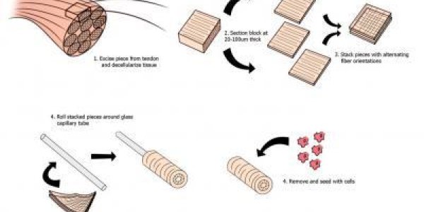 Bioskiving: A New Way To Build Collagen Scaffolds