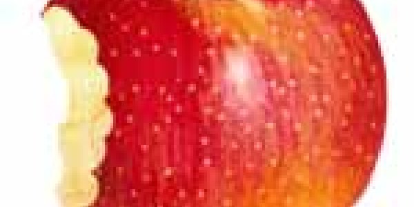 Crunching Apples In Poland