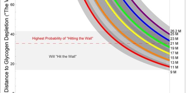 Optimizing Your Marathon - Using Math
