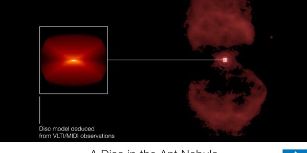 Interferometric Model Discovers Disc Of The Ant Nebula