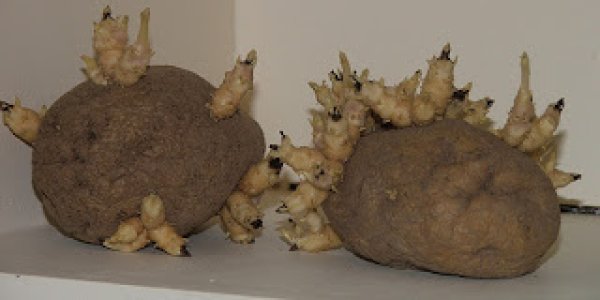 10 Ways That We Already Reduce Food Waste (6 To 10)