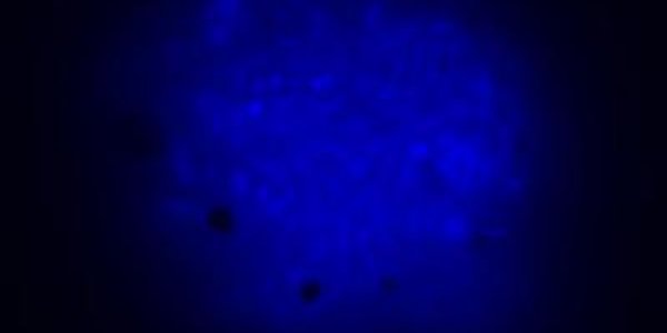 Understanding The Carbon Cycle - Iron And Manganese In Methane Conversion