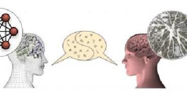 Artificial Neuronal Network Learns To Use Human Language