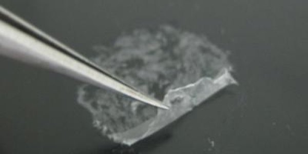Cling Wrap For Burn Wounds: Biomaterial Nanosheets Coat Tricky Burns, Blocks Out Infection