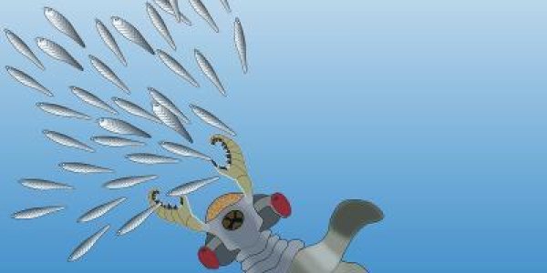 Lyararapax: 520 Million-Year-Old Brain Discovered