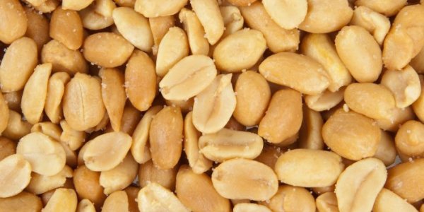 Happy Thanksgiving: You're More Likely To Be Murdered Than Die From A Food Allergy