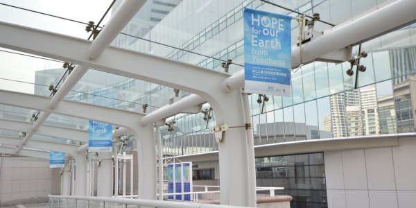 IPCC Optimism May be Smart Marketing