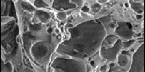 Sticky Lunar Dust - Sun's Elevation Made The Difference