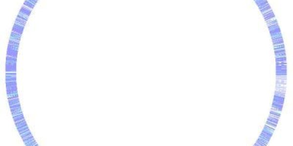 E. Coli Strain Responsible For Food Poisoning Gets Its Genome Sequenced