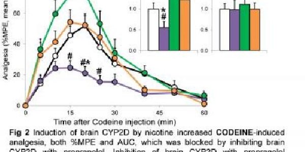 Nicotine Gives Brain More Codeine Relief- And Risk Of Addiction