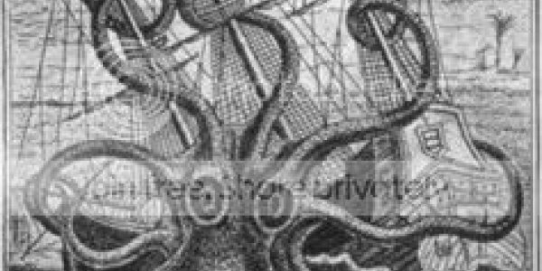 Boat Nets Large Jellyfish, Sinks Itself