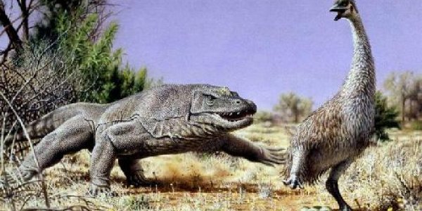 Nature Is Mean, Shows Extinction Of Giant Australian Bird