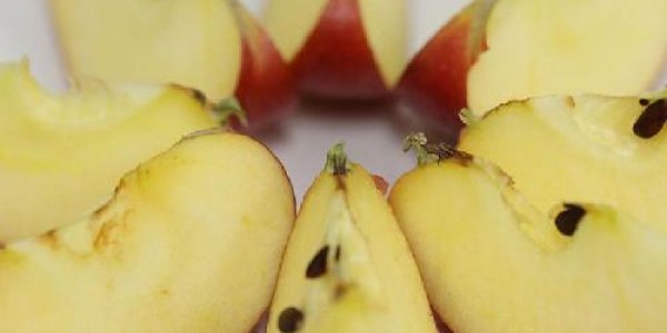 Browning In Apples Is A Defense Mechanism - But The Public Still Wants It To Go