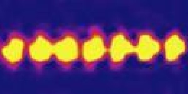 New World Record: Calculations With 14 Quantum Bits
