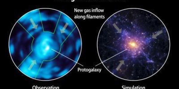 Cosmic Web Imager And The Intergalactic Medium Unveiled