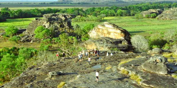 With More Parks Than Ever, Why Is Wildlife Still Vanishing?