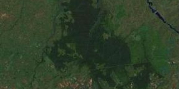 Mabira Forest Reserve Update: No To Sugar