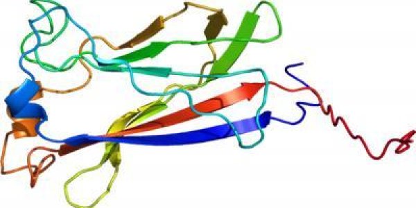 Study Reveals A Major Mechanism Driving Kidney Cancer Progression