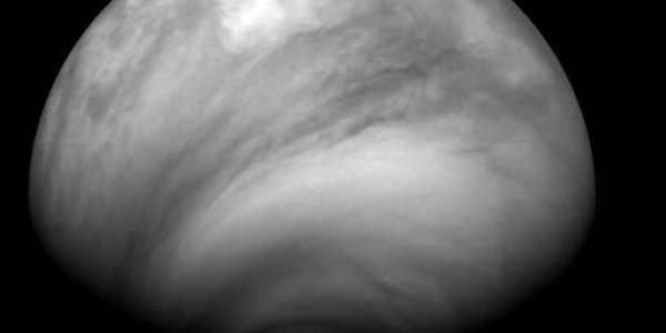 Evolution Of Venus - Too Fast And Too Slow