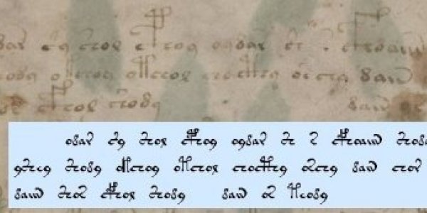 The Voynich Manuscript : An Enigma, Part #1