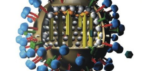 How To Evolve A Pandemic Flu Virus