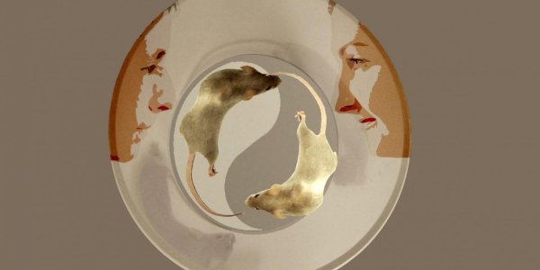 Is Lower Stress The Secret To Finding Empathy For Others?