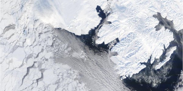 Arctic Tipping Points - #3: More About Feedback