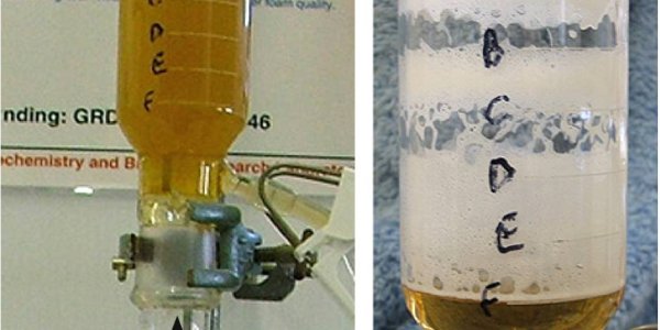 LTP1: The Secret To Perfect Beer Foam