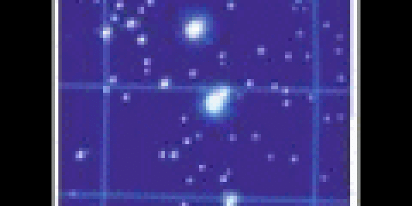 GRB 041219A Gets Polarized