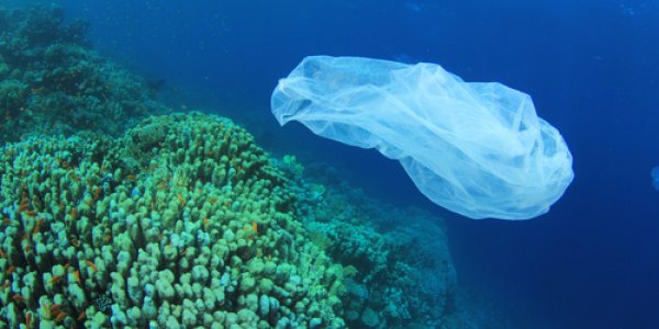 Plastics: What Goes Around... Gets Stuck In The Middle