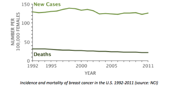 Silicone On Trial: Bastardization Of Justice