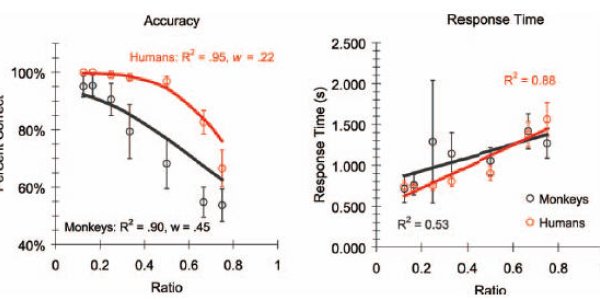 No Primate Left Behind: Monkeys Perform Arithmetic As Well As College Students