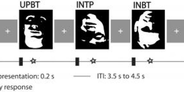 Predictive Coding Theory: How Our Brains Recognize Faces From Minimal Information