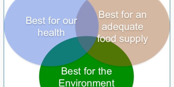 Why Organic Can't Fulfill Our Food Supply Ideals