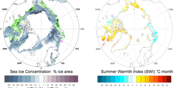 The Greening Of The Arctic