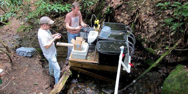 Excess Nitrogen And Phosphorus Damages Streams In Ways Previously Unknown