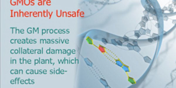 Are Ebola Drug Researchers Developing ‘Death Drugs’ That Could Wipe Out Humanity?