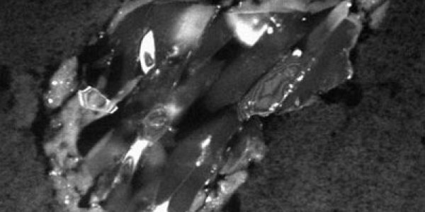 The Origin Of Chemistry In Circumstellar Space