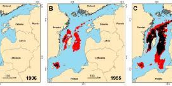 Baltic Sea Oxygen Depletion 10X Worse Than A Century Ago