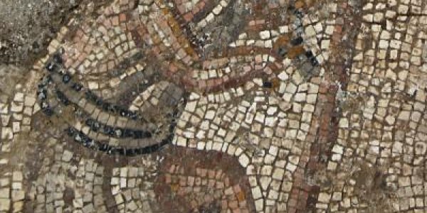 Discovery: Ancient Galilee Synagogue Reveals Unique Mosaic Floor