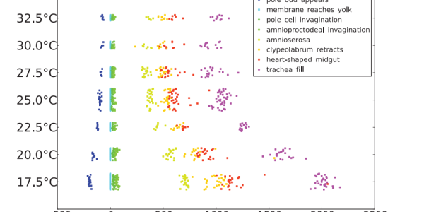 Uniform Scaling Of Temperature Dependent And Species Specific Changes In Timing Of Drosophila Development