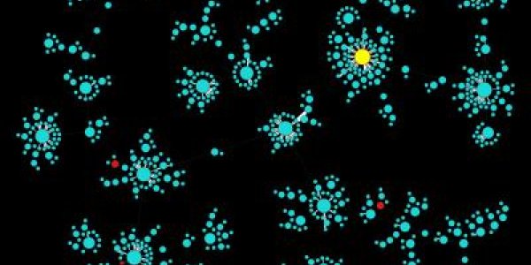 Social Media Underwhelms: Armchair Activists Aren't Doing All That Much